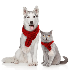 Merry Christmas Scarf for Dogs