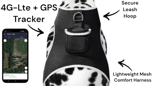 Mini Waterproof iPhone/Android Compatible GPS Collar Pet Tracking Tool Size:XL