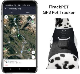 Waterproof Realtime Tracking Device + Easy to Use Tracker Apps