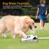 Outdoor Dog Water Fountain-Step-on Activated Sprinkler