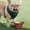 Folding dog bowl feeder outdoor travel