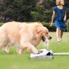 Outdoor Dog Water Fountain-Step-on Activated Sprinkler