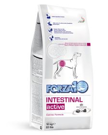 Active Dog Intestinal