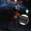 Dog Training Collar Receiver IPX6