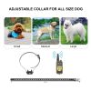 Dog Training Collar IP67 Trainer