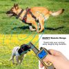 Dog Training Collar IP67 Trainer