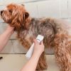 Dog Hair Cordless Trimmer 4In1 Grooming Kit