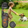 Dog Training Collar w/ Remote Rechargeable Collar