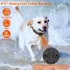 Dog Training Collar w/ Remote Rechargeable Collar