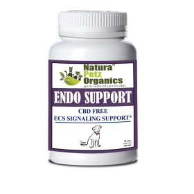 Endo Support Capsules For Dogs Endocannabinoid (Size: 250 Capsules DOG / 500 mg.)