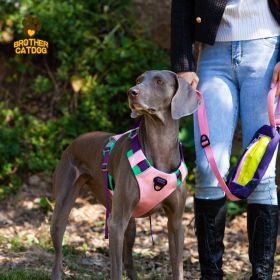 Dog chest sling Explosion-proof punch sling leash rope (select: AN6-pink-XL)