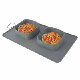 Collapsible Dog Bowl, Foldable Silicone Feeding Travel Bowl (Color: gray)