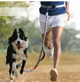 Hands Free Dog Leash- Durable Dual Handle Waist Leash (Specification (L * W): 2.5*160cm, Colour: Orange -4211)