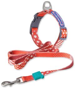 'Trendzy' 2-in-1 Matching Designer Printed Dog Leash & Collar (Color: Red, Size: Medium)