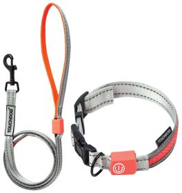 'Lumiglow' 2-in-1 USB LED Lighting Dog Leash & Collar (Color: Grey, Size: Small)