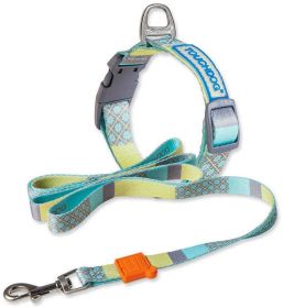 'Trendzy' 2-in-1 Matching Designer Printed Dog Leash & Collar (Color: Blue, Size: Small)