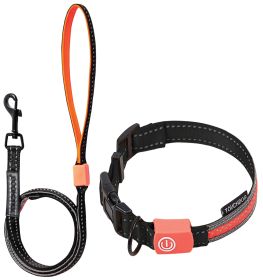 'Lumiglow' 2-in-1 USB LED Lighting Dog Leash & Collar (Color: Black, Size: Large)